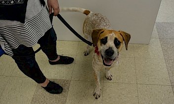 Tour Memphis Animal Clinic in Memphis, TN